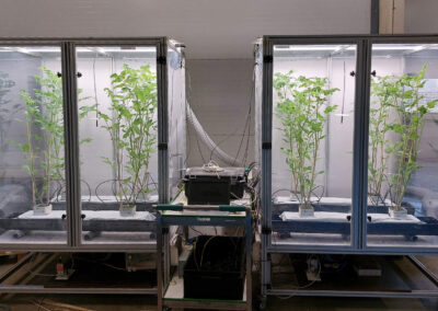 Veilig gebruik van toekomstige CO₂-bronnen in glastuinbouw