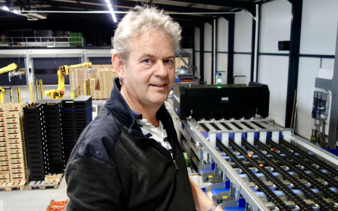 ‘In hetzelfde aantal uren twee keer zoveel tomaten sorteren’
