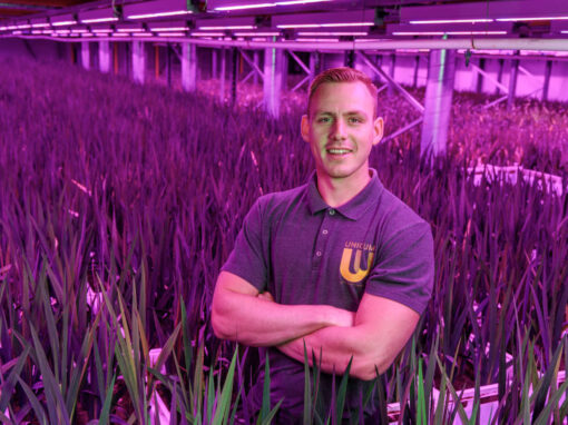 Guillaume Barendse: ‘Wij blijven op drie lagen telen onder LED’