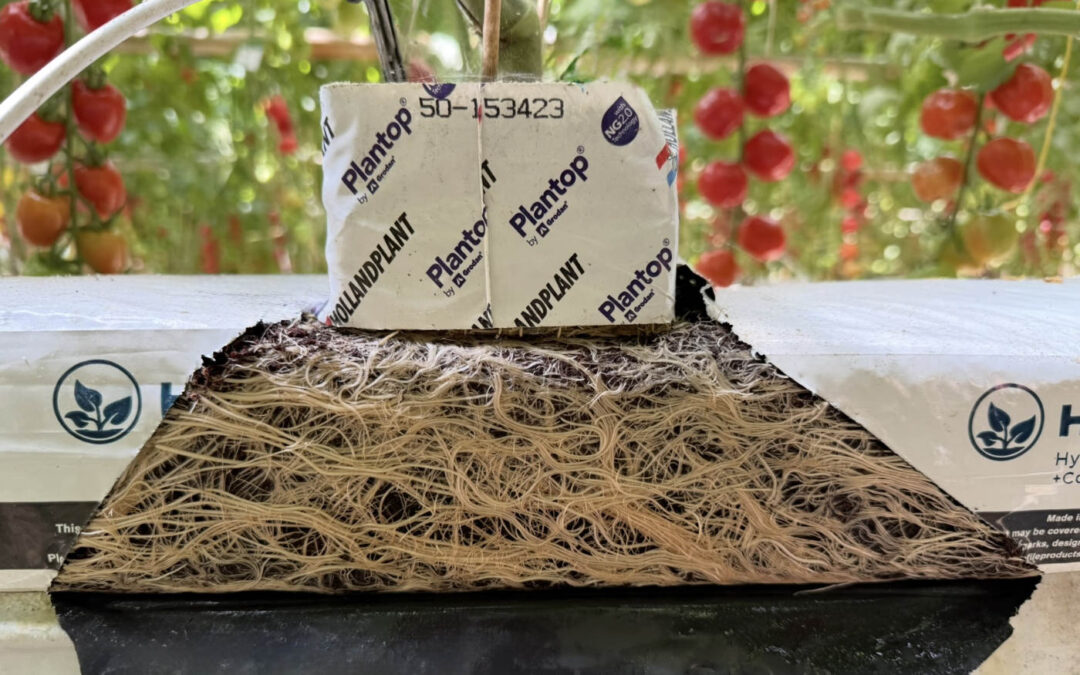 Organisch substraat met houtvezels: de stap naar de toekomst