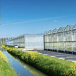 Route en kansenkaart emissieloos telen in de glastuinbouw