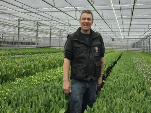 ‘Met 1 kuub gas produceerden we 1 lelie en nu 100 tulpen’