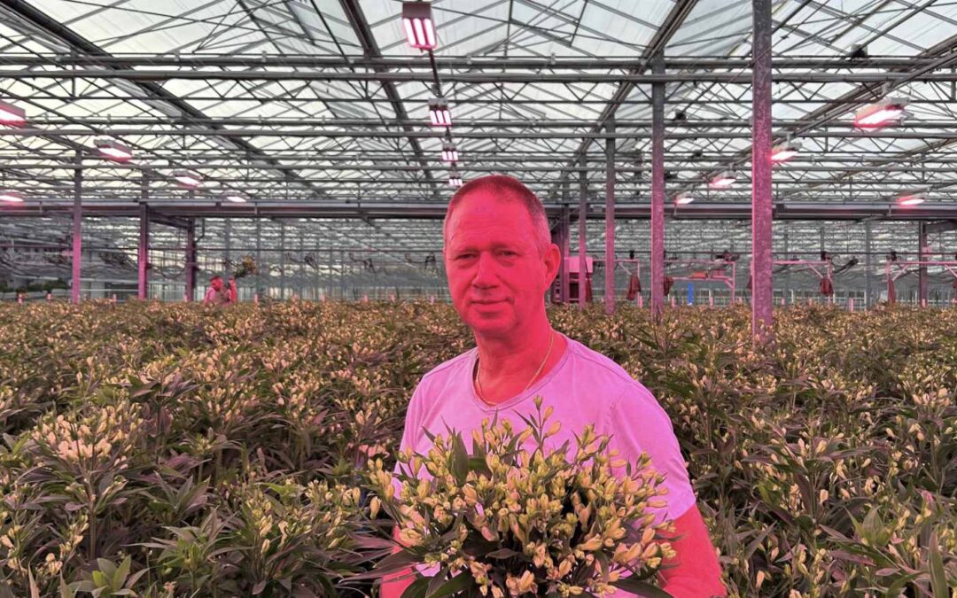 ‘Meer licht, meer en betere takken bij lager stroomverbruik’