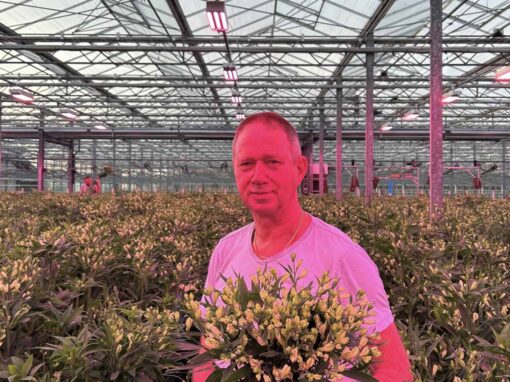 ‘Meer licht, meer en betere takken bij lager stroomverbruik’