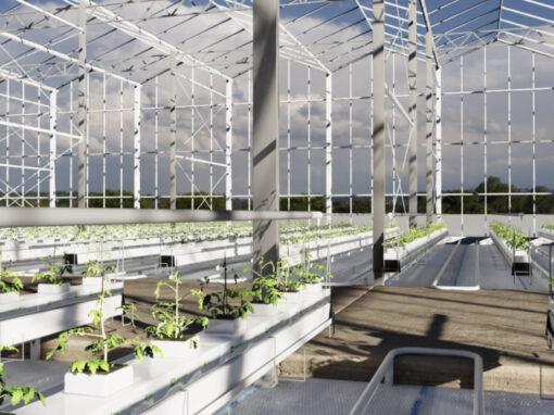 Slimmere robots door simulatie: de digitale kas als proeftuin