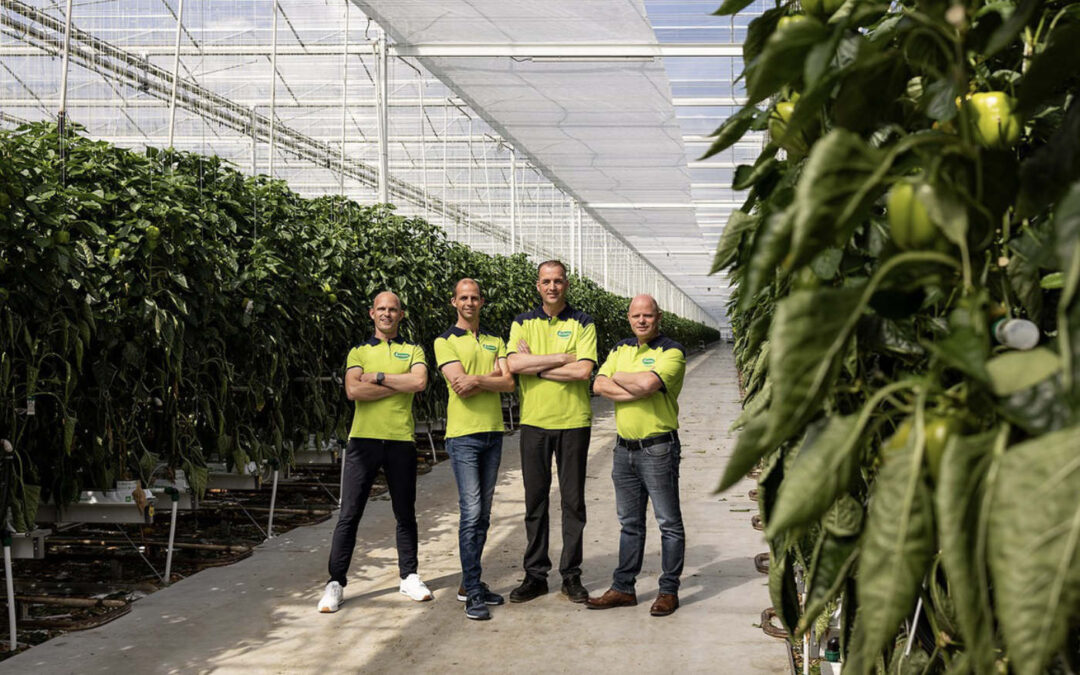Paprikatelers 4evergreen en Kwekerij Helderman samen verder