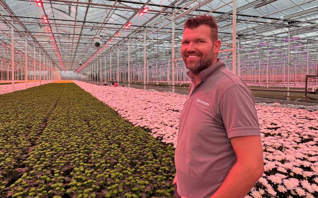 Betere beworteling en uniformiteit door dynamische LED’s