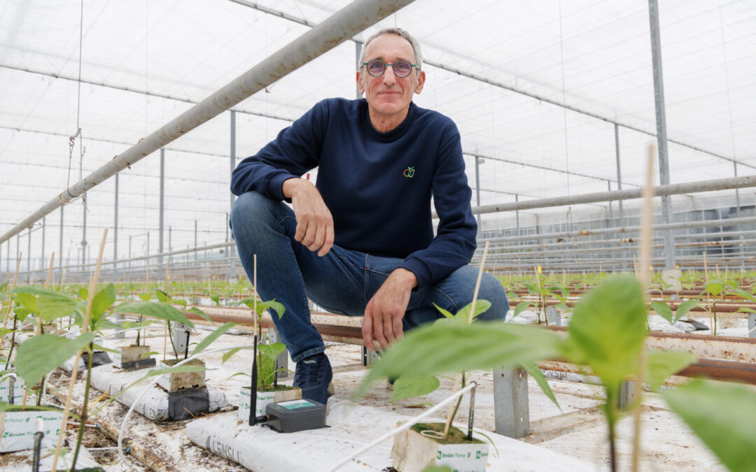 ‘Meetsysteem combineert perfect met het organische substraat’