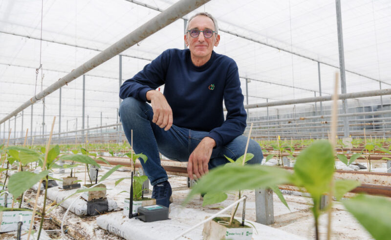 Nieuwsbrief_onderglas_AFN