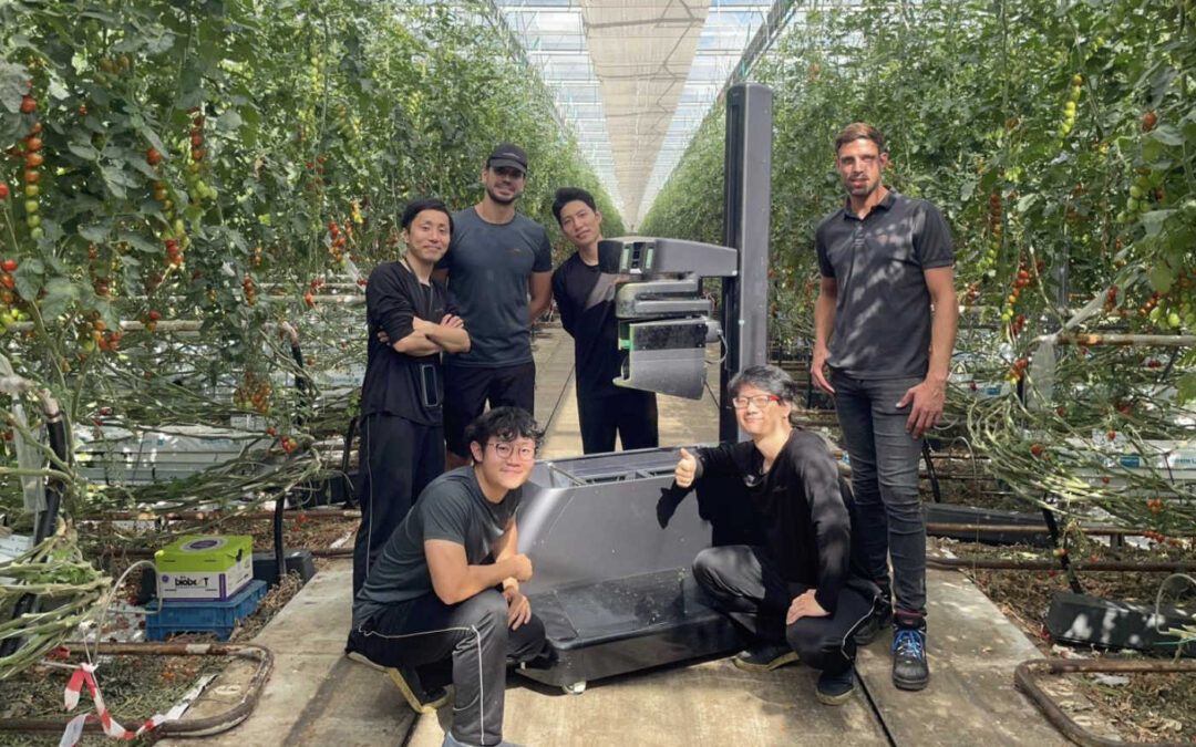 Accent tomatenoogstrobot ligt op verder verhogen van snelheid