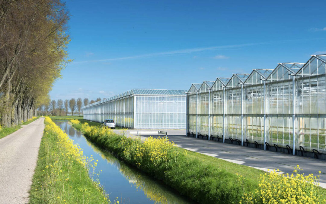 Route en kansenkaart emissieloos telen in de glastuinbouw