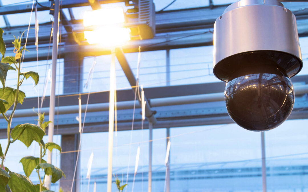 Onderzoek naar adoptie van technologie, data en innovaties