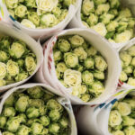 NVWA vindt residuen van middelen op geïmporteerde rozen