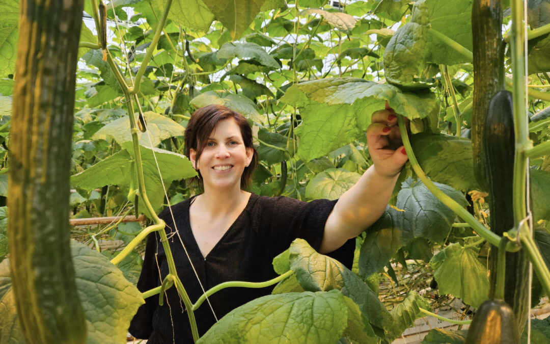 Inge Bergsma: ‘Overstap naar LED wordt vaak onderschat’