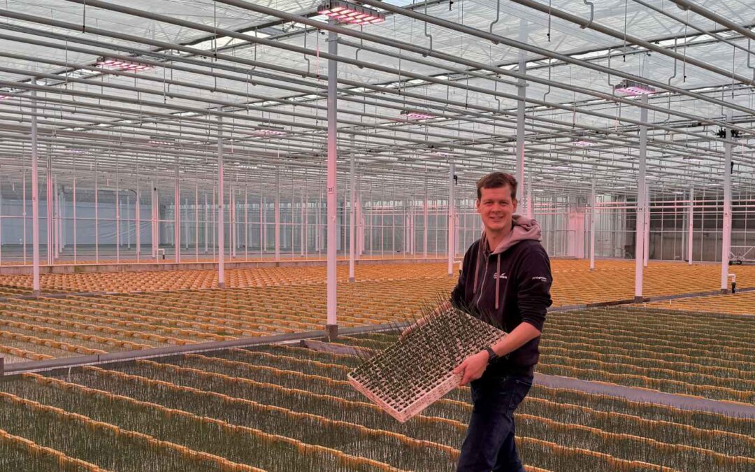 Kwalitatief hoogwaardige planten, met laagwaardige warmte