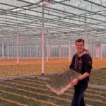 Kwalitatief hoogwaardige planten, met laagwaardige warmte