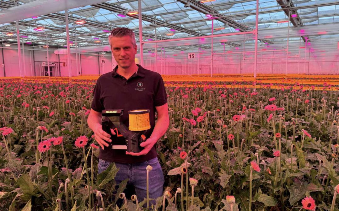 Hans van Holstein: ‘Wij zien meer kansen voor 100% groen telen’