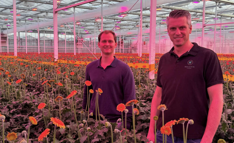 Nieuwsbrief_onderglas_AFN