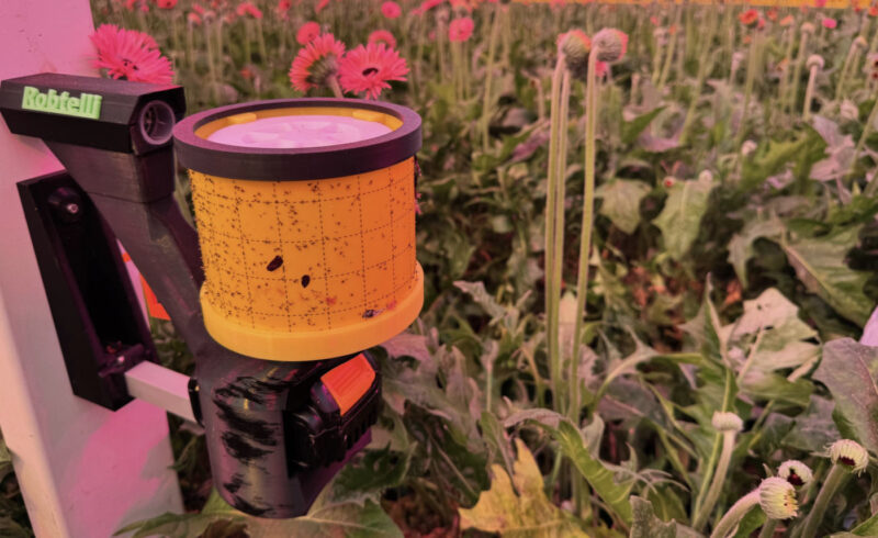 Nieuwsbrief_onderglas_AFN