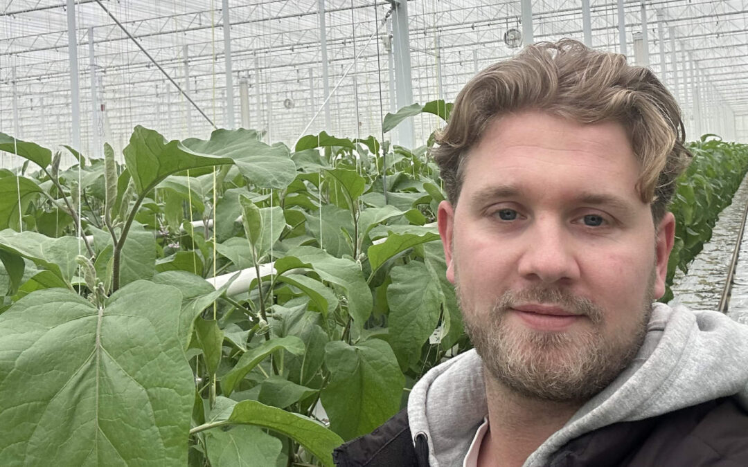 ‘Balans zoeken tussen insecten weren en ventilatiecapaciteit’