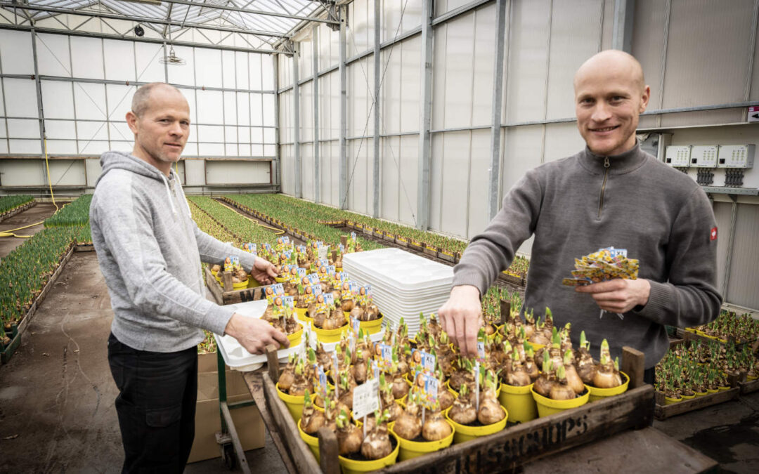 Eric Bisschops: ‘De klok redt ons narcissenseizoen’