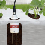 Bodemvochtsensor voor meten bodemvocht en temperatuur