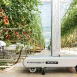 Continue en autonoom scouten voor objectieve kasmonitoring