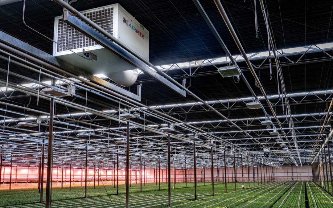 Een stabiel kasklimaat met minder energie