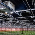 Een stabiel kasklimaat met minder energie