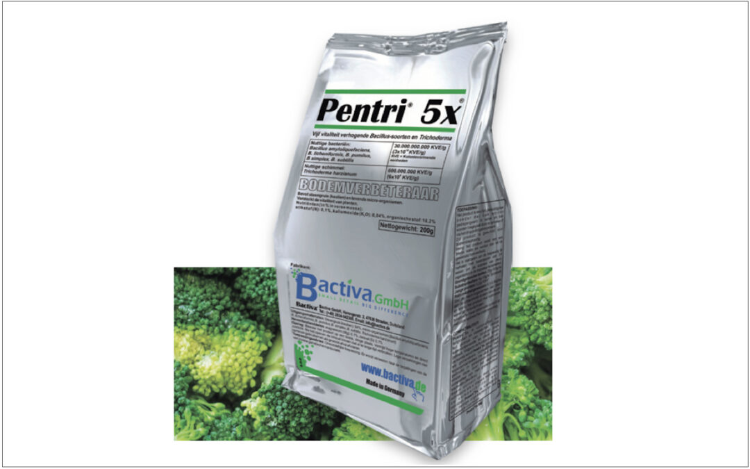 Bodemverbeteraar versterkt plantvitaliteit in glastuinbouw