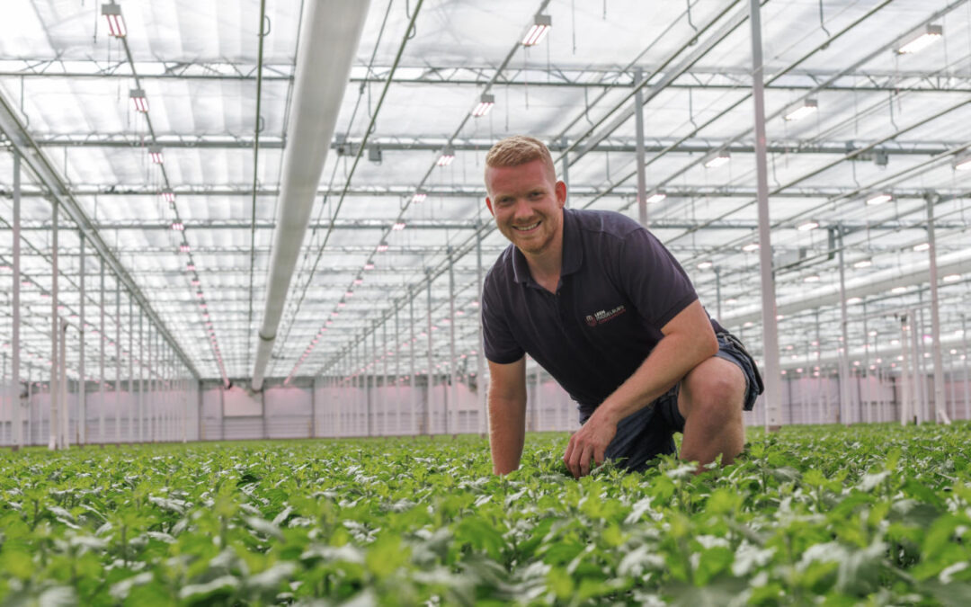 ‘Training en begeleiding tillen scouten naar hoger niveau’