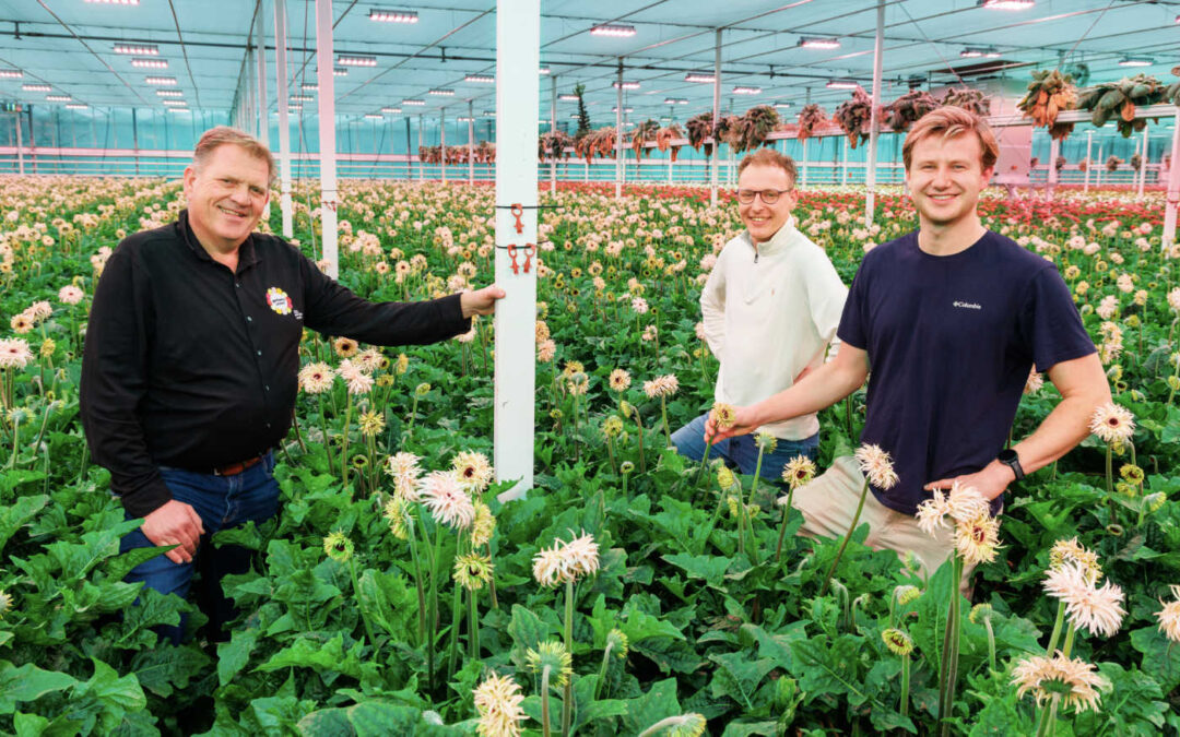 ‘Turkse mot met feromoonverwarring beter onder controle’