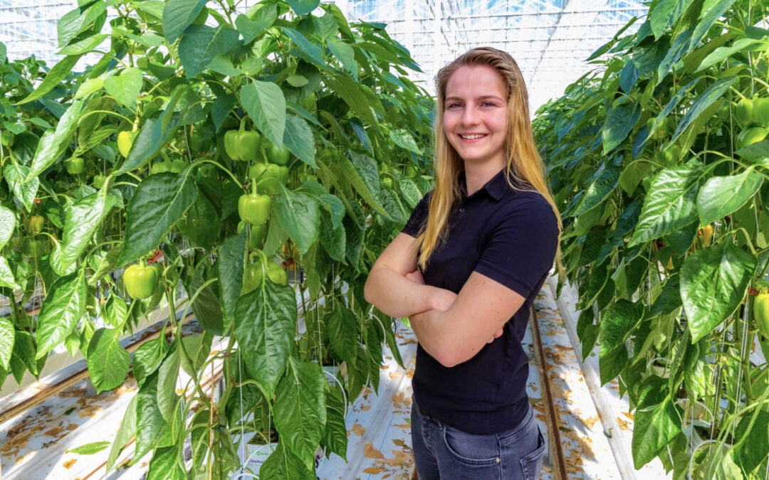 ‘Zo werken we met scouten toe naar meer inzicht en uniformiteit’