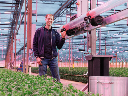 ‘We zoeken voor elke nieuwe soort luis biologische bestrijder’