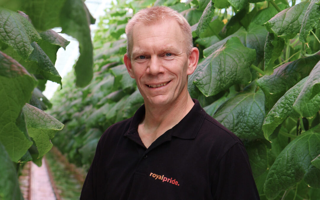 ‘UV-C robot helpt meeldauw preventief te bestrijden’