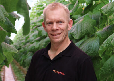 ‘UV-C robot helpt meeldauw preventief te bestrijden’