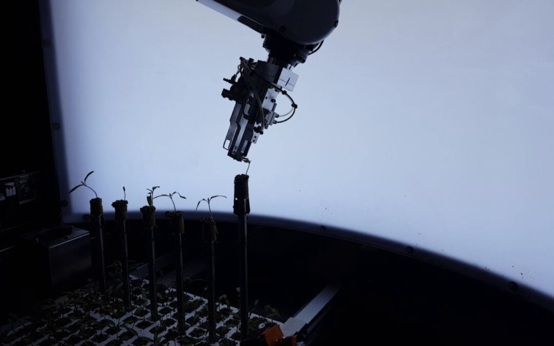 Slimme 3D-technologie stuurt robots en bespaart zo arbeid