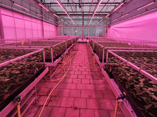 Systeemsprong grondgebonden en emissievrije teelten