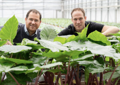 ‘We zoeken hybride oplossingen die zichzelf terugverdienen’