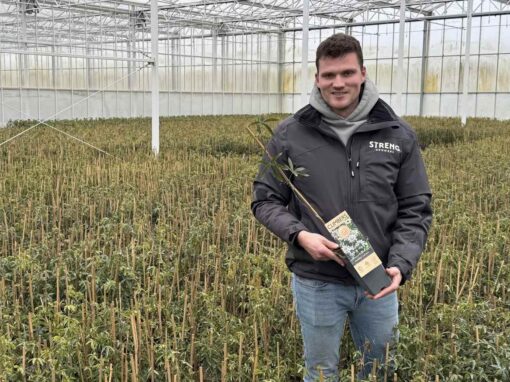 Minder uitval passiflora dankzij organische meststoffen