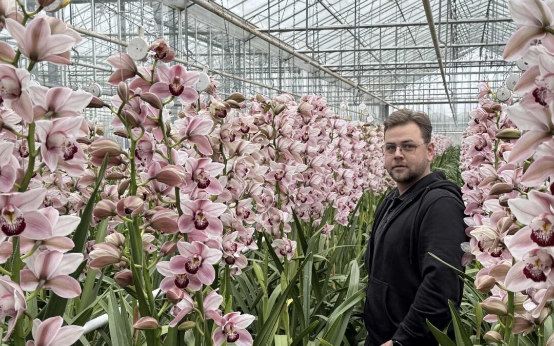 ‘Lagere buistemperatuur, stabieler klimaat en geen takbreuk meer’