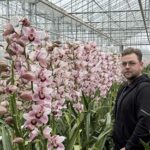 ‘Lagere buistemperatuur, stabieler klimaat en geen takbreuk meer’