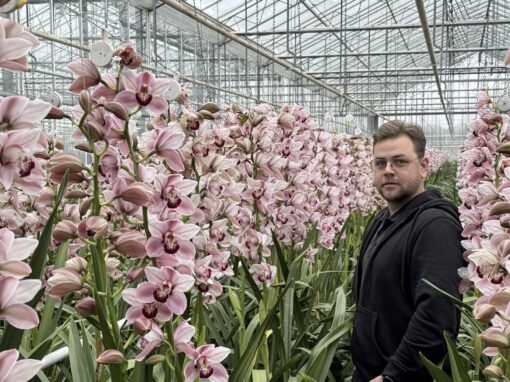 ‘Lagere buistemperatuur, stabieler klimaat en geen takbreuk meer’