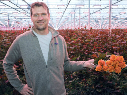 ‘Mijn zoon wilde eigen roos, maar rozen krijgen vrouwennamen’