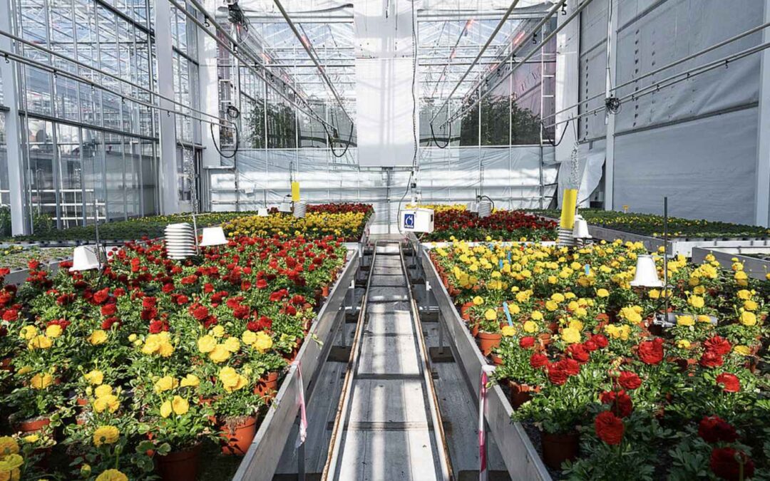 Actieve ontvochtiging, schermen en gerichte klimaatsturing