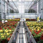 Actieve ontvochtiging, schermen en gerichte klimaatsturing