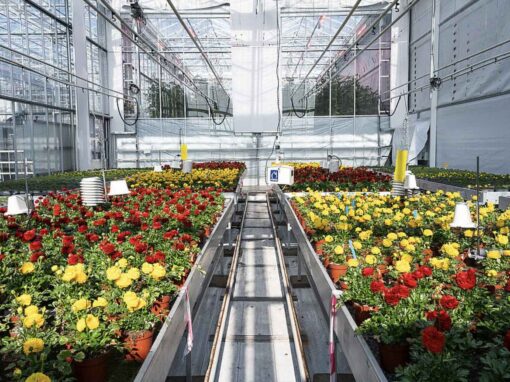 Actieve ontvochtiging, schermen en gerichte klimaatsturing