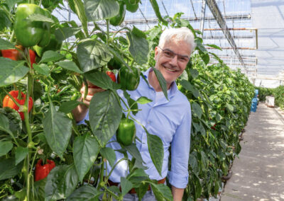 ‘Het is wachten op nieuwe gebruiksvoorschriften of toelatingen’