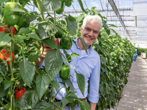 ‘Het is wachten op nieuwe gebruiksvoorschriften of toelatingen’