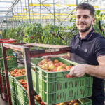 ‘Deze tomaat geeft ons onderscheidend vermogen in de markt’